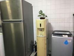 Blk 605 Elias Road (Pasir Ris), HDB Executive #167354572